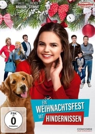 Ein Weihnachtsfest mit Hindernissen 2016 Stream German HD