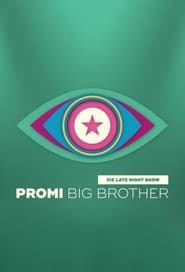 Big Brother - Die Late Night Show poster