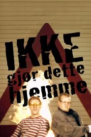 Ikke gjør dette hjemme (2011)