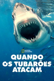 Quando os Tubarões Atacam — Temporada 5
