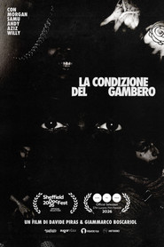 La Condizione del Gambero