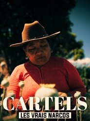Les vrais Narcos 2020 Бесплатан неограничен приступ