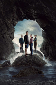 The Survivors poster