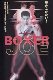 Poster Boxer Joe