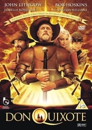 Don Quixote streaming film