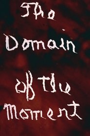 Poster The Domain of the Moment 1977