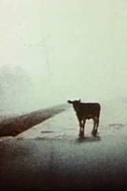 مشاهدة فيلم Everywhere at Once 1985 مترجم بجودة عالية
