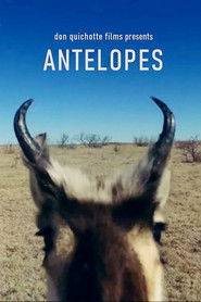 Antelopes (2020)