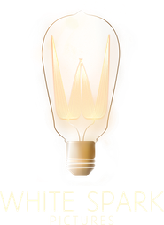 Logo for White Spark Pictures Logo for White Spark Pictures