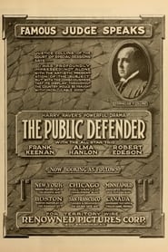 Poster The Public Defender