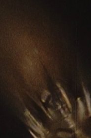 Poster Micromoth 2000
