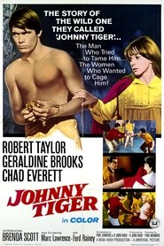 Poster Johnny Tiger 1966