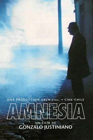 Poster Amnesia 1994