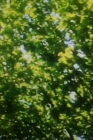 Feuilles vertes 2025 Бесплатан неограничен приступ