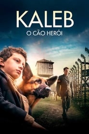 Kaleb – O Cão Herói
