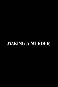 Making a Murder (2020)