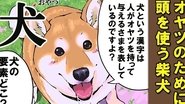 Special Lecture 1 / Special Lecture 2 / Dogs and Kanji 1 / Dogs and Kanji 2