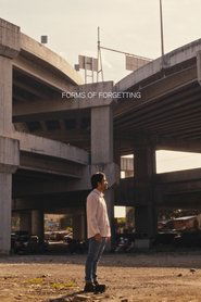 forms of forgetting) forms of forgetting (2025)