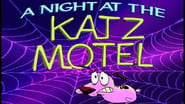 A Night at the Katz Motel