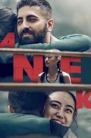 Anek 2022 Hindi Movie NF WebRip 480p 720p 1080p