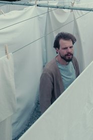 Poster Washed Out 2018