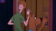 Make a Beeline Away from That Feline