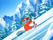 Ski Bugs