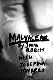 Poster Malvaceae 2019