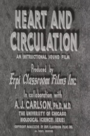Heart and Circulation
