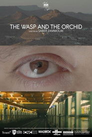 The Wasp and the Orchid