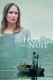 Poster Des feux dans la nuit