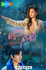 Plakat — 暗恋成婚