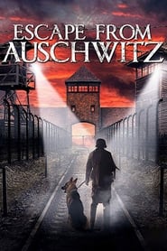 Poster The Escape from Auschwitz 2020