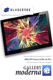 BluScenes: Gallery Moderna