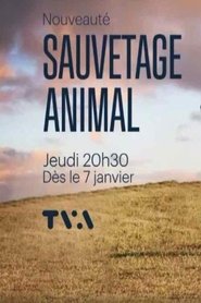 Sauvetage animal 2021
