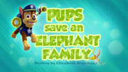 Pups Save an Elephant Family