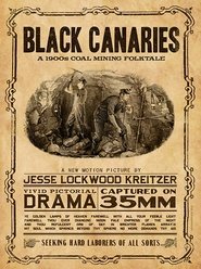 Poster Black Canaries 2016