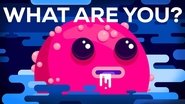 What Are You?