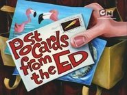Postcards from the Ed