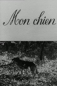 Poster Mon chien 1955
