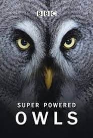 Poster Super Powered Owls