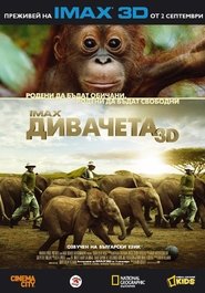 Дивачета (2011)