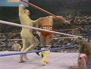 August 13, 1988 - Superstars of Wrestling 102