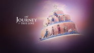 The Journey to Find True Love 
