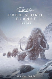 Ice Age