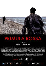 Poster Primula Rossa