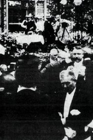 Poster The Icelandic Althing Visits Copenhagen 1906