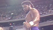 August 22, 1988