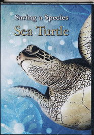 Saving a Species: Sea Turtle