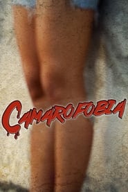 Poster Camarofobia